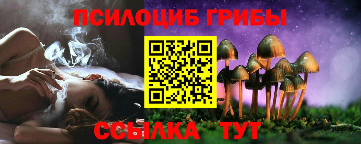 Муравленко  Псилоцибиновые грибы Magic Shrooms  Псилоцибиновые грибы Magic Shrooms  Вход с VPN 